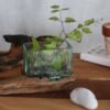 Glasdekoration i glas och naturträ