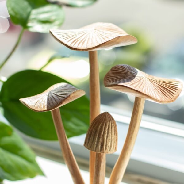 Handgjord svampdekoration i parasitträ