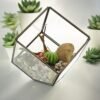 Glasterrarium med ram i mässing