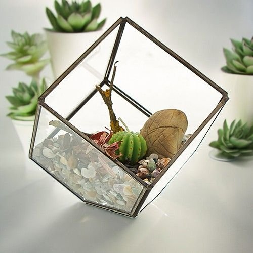 Glasterrarium med ram i mässing