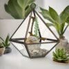 Liten geometrisk växtdekoration i transparent glas