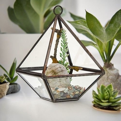 Liten geometrisk växtdekoration i transparent glas