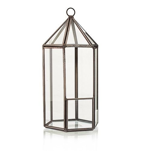 Lykformad växtdekoration i glas med metallram
