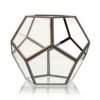 Geometrisk växtdekoration i glas med metallram