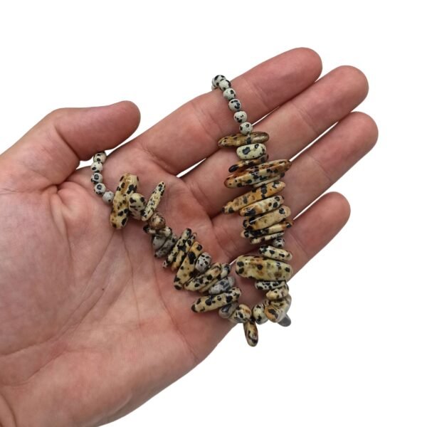 bG9jYWw6Ly9tZWRpYS9TUS8yRC82MFIzMEMxRzZXUjMyRFNRLzlmNmI5Y2VlLmpwZWc.jpg Halsband med stenar av dalmatinerjaspis i handen