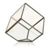 Geometriskt glasterrarium i kubform