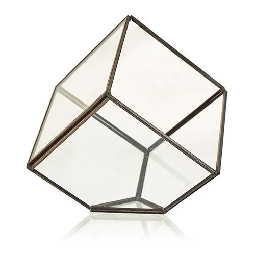 Geometriskt glasterrarium i kubform